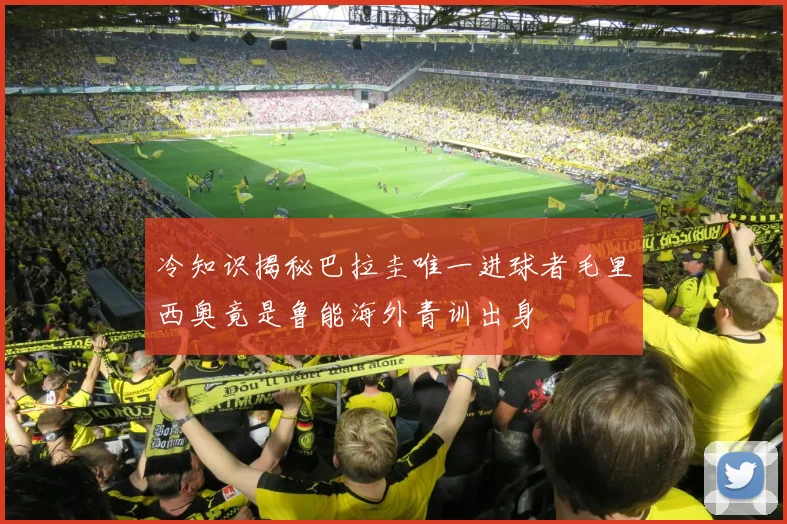 冷知识揭秘巴拉圭唯一进球者毛里西奥竟是鲁能海外青训出身