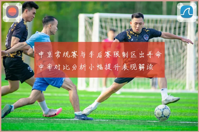 申京常规赛与季后赛限制区出手命中率对比分析小幅提升表现解读